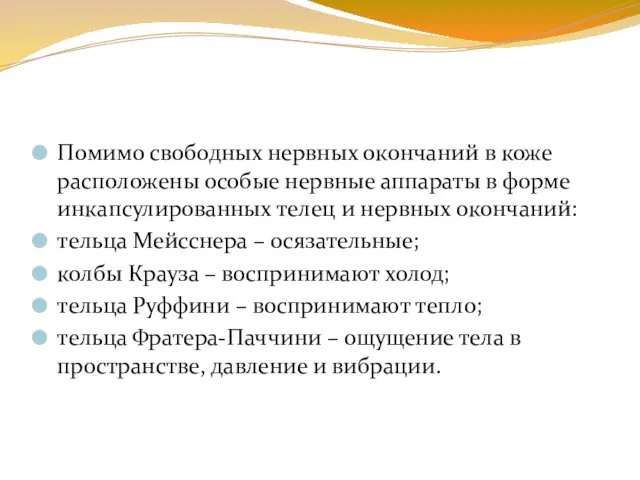 Помимо свободных нервных окончаний в коже расположены особые нервные аппараты