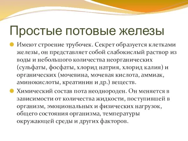 Простые потовые железы Имеют строение трубочек. Секрет образуется клетками железы,