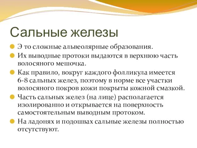 Сальные железы Э то сложные альвеолярные образования. Их выводные протоки