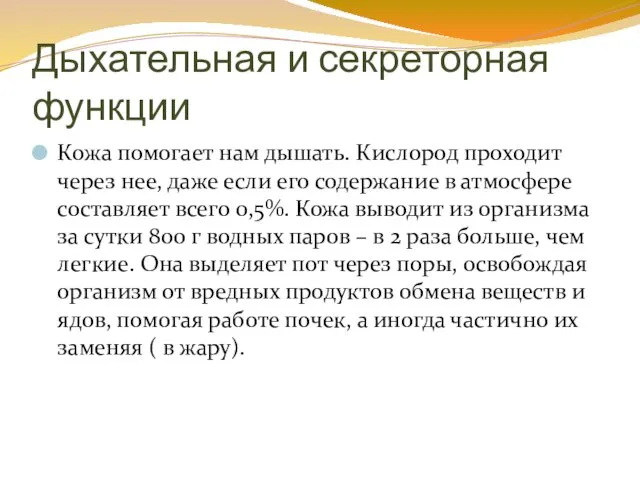 Дыхательная и секреторная функции Кожа помогает нам дышать. Кислород проходит