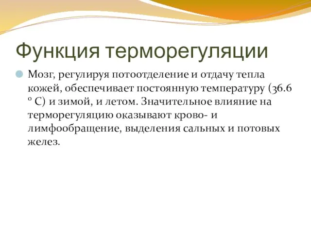 Функция терморегуляции Мозг, регулируя потоотделение и отдачу тепла кожей, обеспечивает