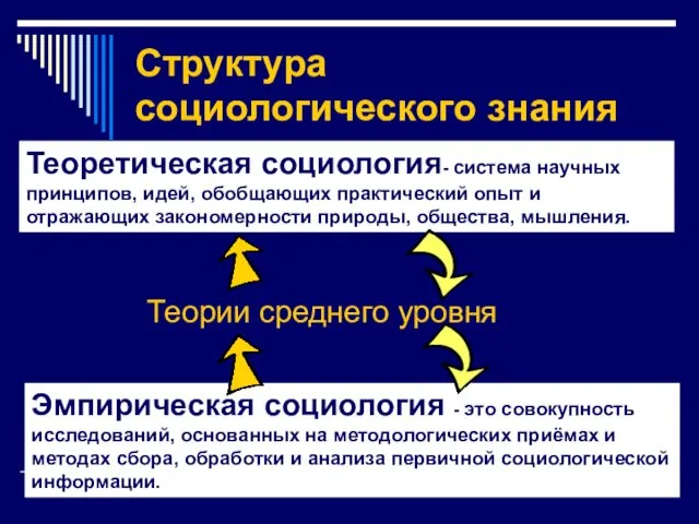 Структура социологического знания Теоретическая социология- система научных принципов, идей, обобщающих