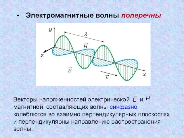 Векторы напряженностей электрической и магнитной составляющих волны синфазно колеблются во взаимно перпендикулярных плоскостях
