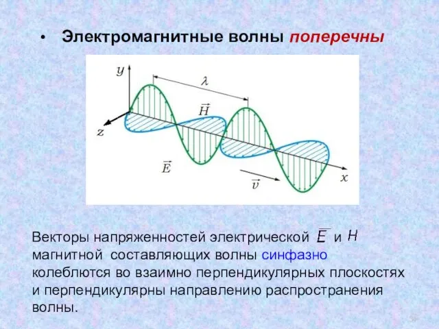 Векторы напряженностей электрической и магнитной составляющих волны синфазно колеблются во