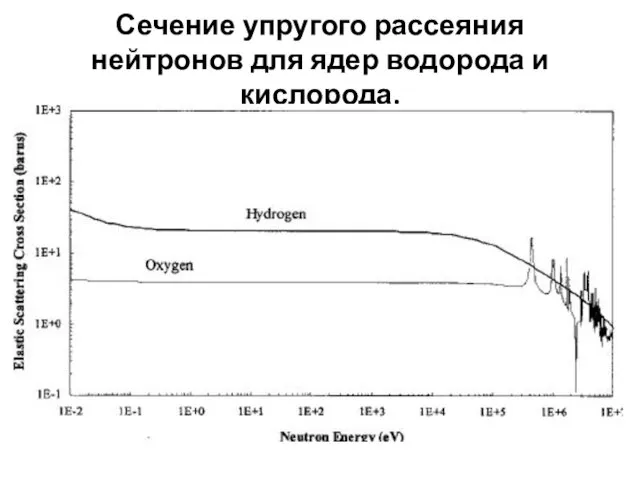 Сечение упругого рассеяния нейтронов для ядер водорода и кислорода.