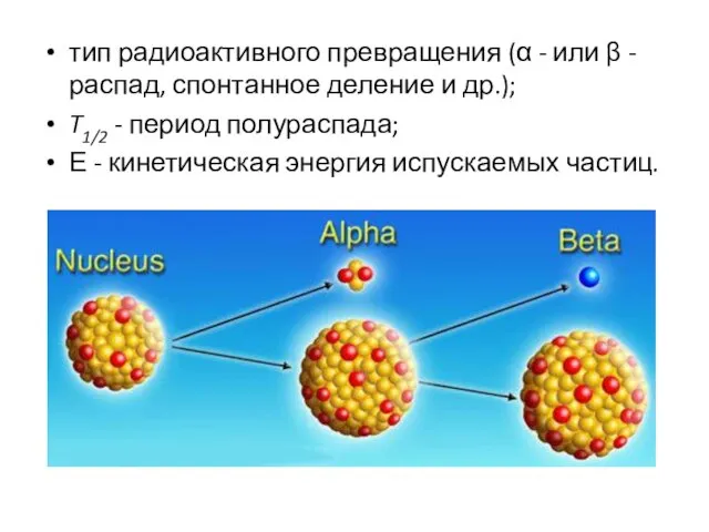 тип радиоактивного превращения (α - или β - распад, спонтанное