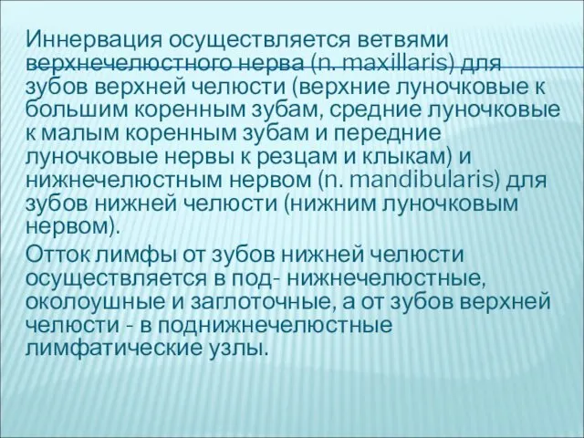 Иннервация осуществляется ветвями верхнечелюстного нерва (n. maxillaris) для зубов верхней