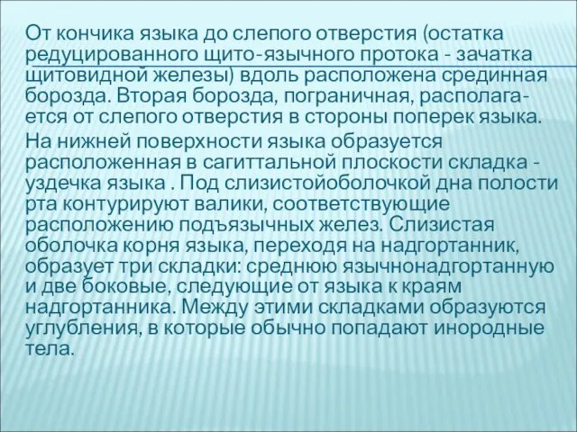 От кончика языка до слепого отверстия (остатка редуцированного щито-язычного протока