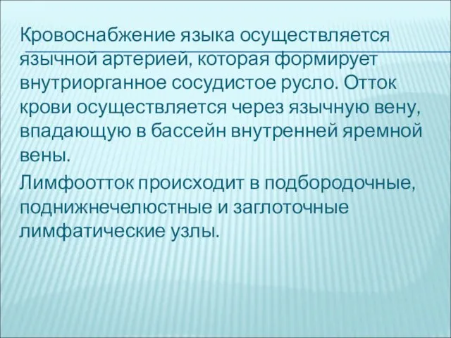 Кровоснабжение языка осуществляется язычной артерией, которая формирует внутриорганное сосудистое русло.