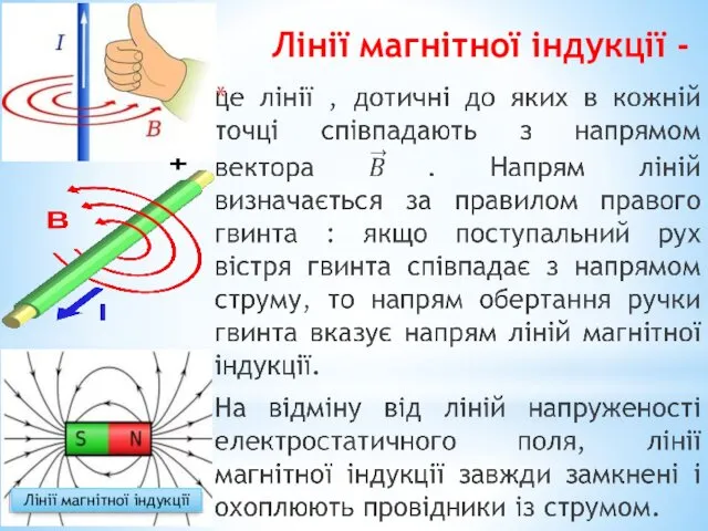 Лінії магнітної індукції - Лінії магнітної індукції