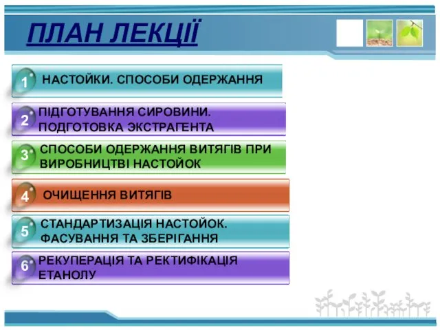 ПЛАН ЛЕКЦІЇ НАСТОЙКИ. СПОСОБИ ОДЕРЖАННЯ ПІДГОТУВАННЯ СИРОВИНИ. ПОДГОТОВКА ЭКСТРАГЕНТА УПАКОВКА