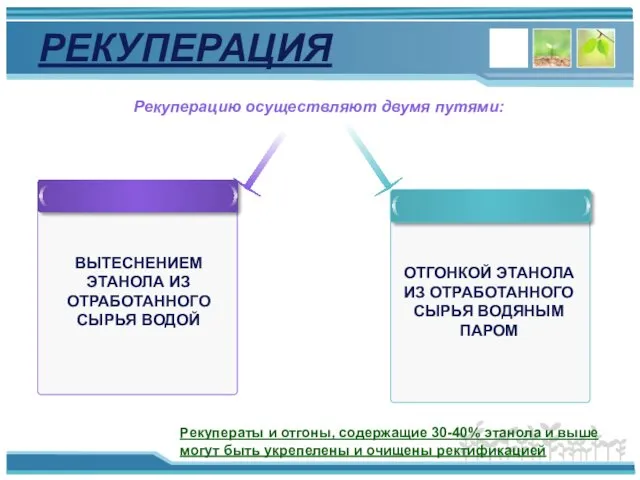 РЕКУПЕРАЦИЯ Рекуперацию осуществляют двумя путями: ВЫТЕСНЕНИЕМ ЭТАНОЛА ИЗ ОТРАБОТАННОГО СЫРЬЯ