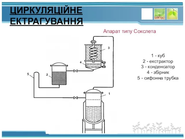 ЦИРКУЛЯЦІЙНЕ ЕКТРАГУВАННЯ Апарат типу Сокслета 1 - куб 2 -