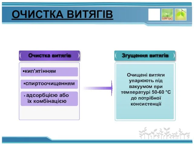 ОЧИСТКА ВИТЯГІВ Очистка витягів Згущення витягів кип'ятінням спиртоочищенням адсорбцією або