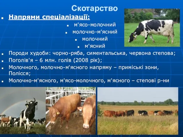 Скотарство Напрями спеціалізації: м'ясо-молочний молочно-м'ясний молочний м'ясний Породи худоби: чорно-ряба,