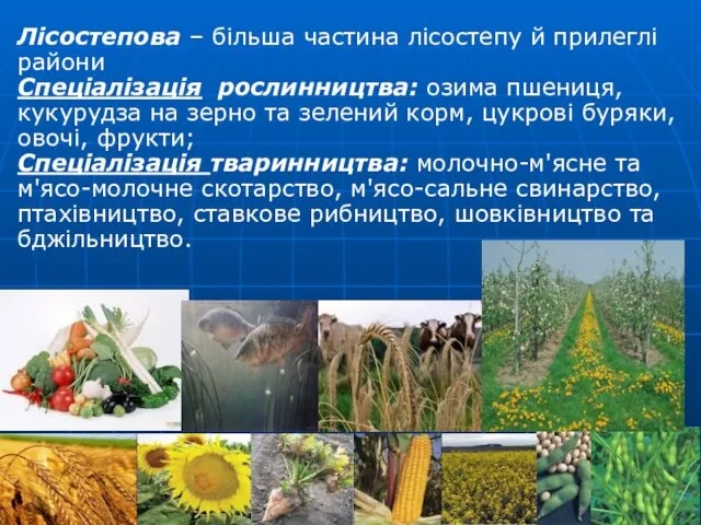 Лісостепова – більша частина лісостепу й прилеглі райони Спеціалізація рослинництва:
