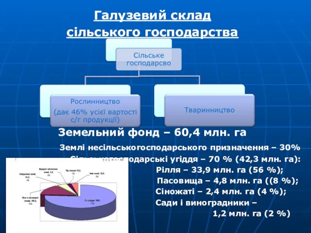 Галузевий склад сільського господарства Земельний фонд – 60,4 млн. га