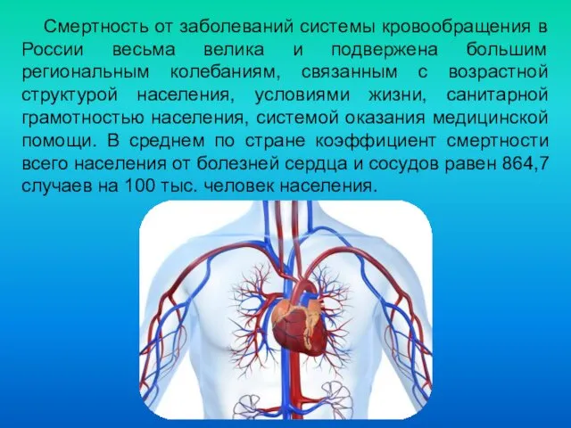 Смертность от заболеваний системы кровообращения в России весьма велика и подвержена большим региональным