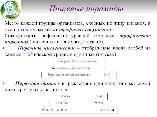 Пищевые пирамиды Место каждой группы организмов, сходных по типу питания,