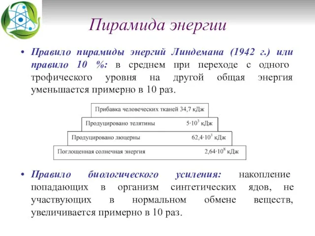 Пирамида энергии Правило пирамиды энергий Линдемана (1942 г.) или правило