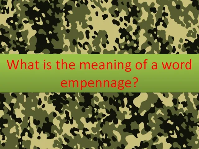 What is the meaning of a word empennage?