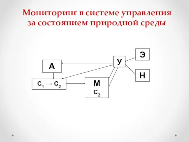 Мониторинг в системе управления за состоянием природной среды А С1