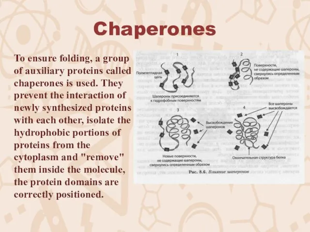 Chaperones To ensure folding, a group of auxiliary proteins called chaperones is used.
