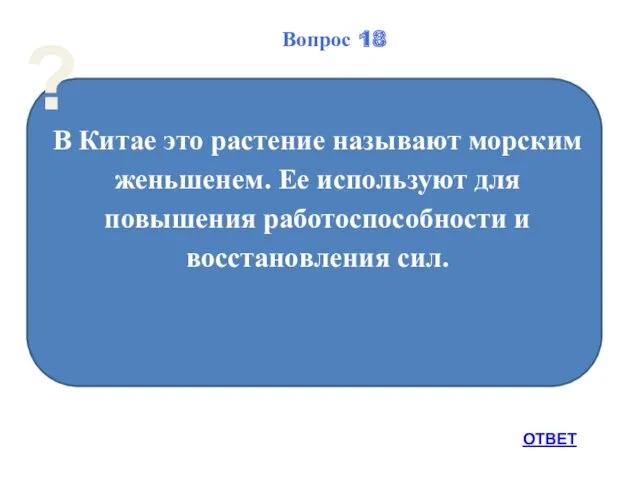 В Китае это растение называют морским женьшенем. Ее используют для