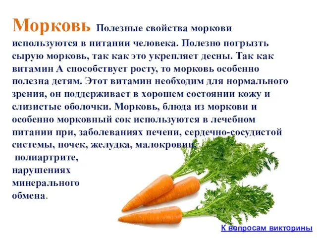 Морковь Полезные свойства моркови используются в питании человека. Полезно погрызть