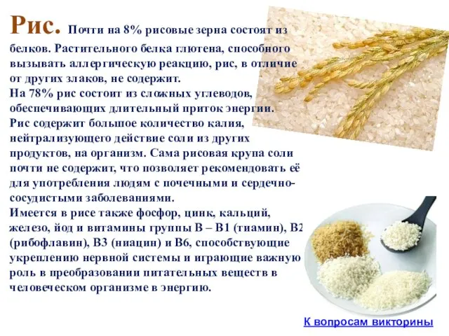 Рис. Почти на 8% рисовые зерна состоят из белков. Растительного