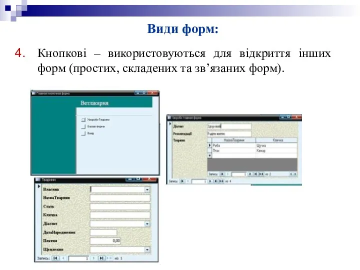 Види форм: Під предметною областю слід розуміти частину реального світу,