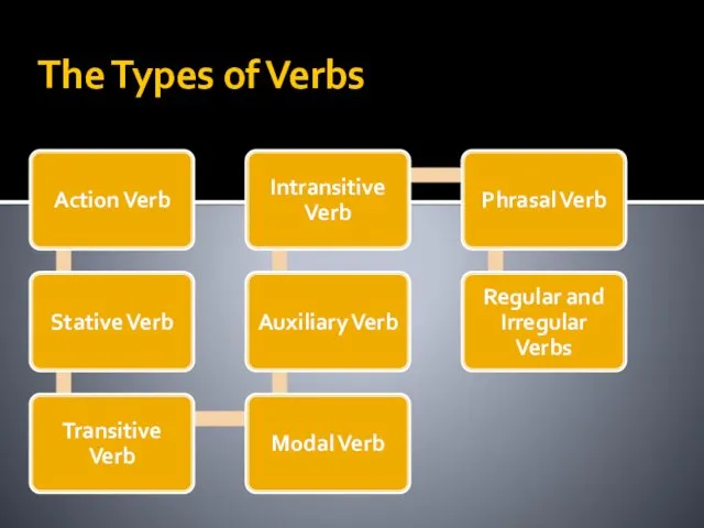 The Types of Verbs