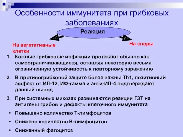 Особенности иммунитета при грибковых заболеваниях Реакция На вегетативные клетки На