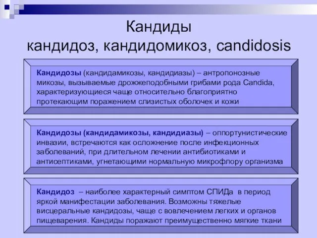 Кандиды кандидоз, кандидомикоз, candidosis Кандидозы (кандидамикозы, кандидиазы) – антропонозные микозы,