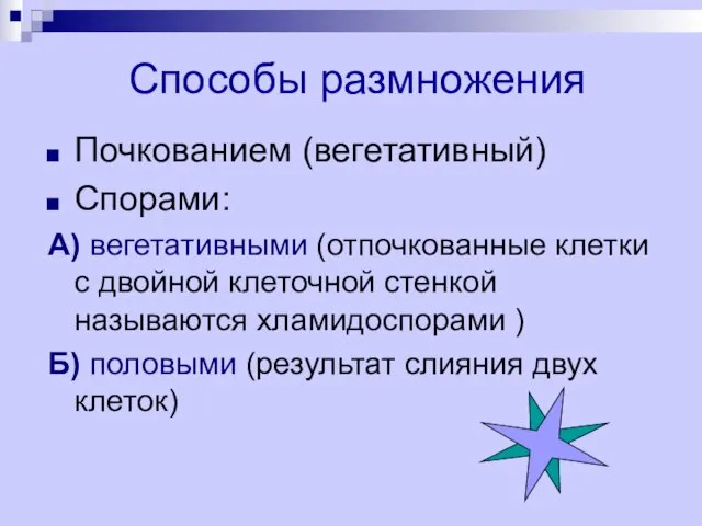 Способы размножения Почкованием (вегетативный) Спорами: А) вегетативными (отпочкованные клетки с