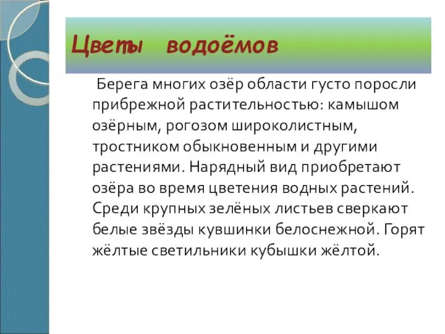 Берега многих озёр области густо поросли прибрежной растительностью: камышом озёрным,