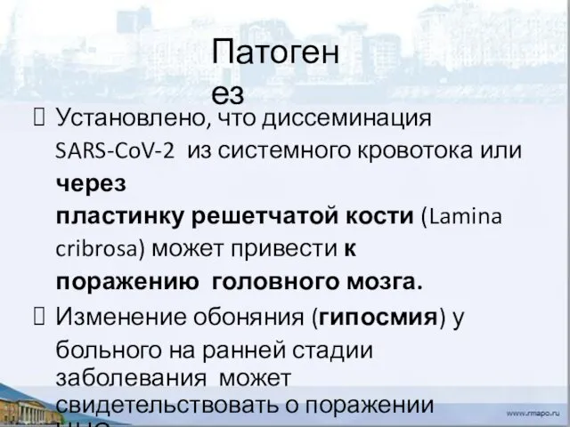 Патогенез Установлено, что диссеминация SARS-CoV-2 из системного кровотока или через пластинку решетчатой кости