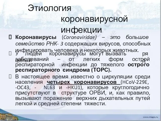 Этиология коронавирусной инфекции Коронавирусы (Coronaviridae) – это большое семейство РНК- 3 содержащих вирусов,