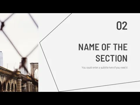 NAME OF THE SECTION You could enter a subtitle here if you need it 02