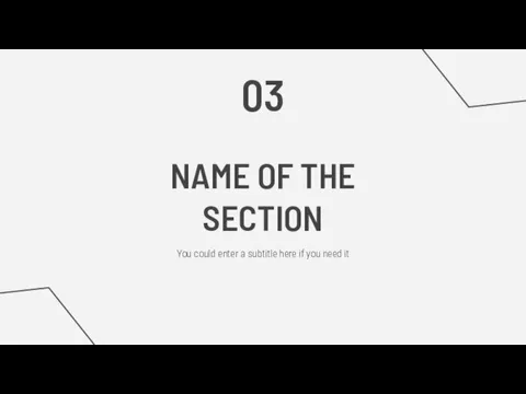 NAME OF THE SECTION You could enter a subtitle here if you need it 03