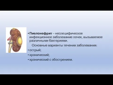 Пиелонефрит – неспецифическое инфекционное заболевание почек, вызываемое различными бактериями. Основные