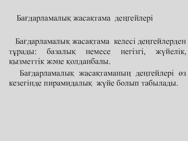 Бағдарламалық жасақтама деңгейлері Бағдарламалық жасақтама келесі деңгейлерден тұрады: базалық немесе