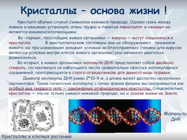 Кристаллы – основа жизни ! Кристалл обычно служит символом неживой