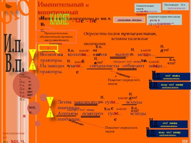 Именительный и винительный падежи имён прилагательных во мн. ч. мн.ч.