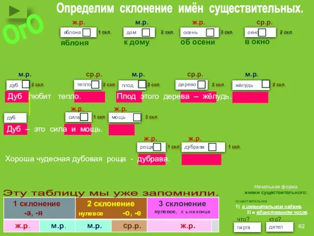 дуб тепло плод дерево жёлудь дуб сила мощь роща дубрава