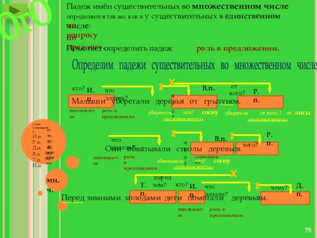 Падеж имён существительных во множественном числе определяется так же, как