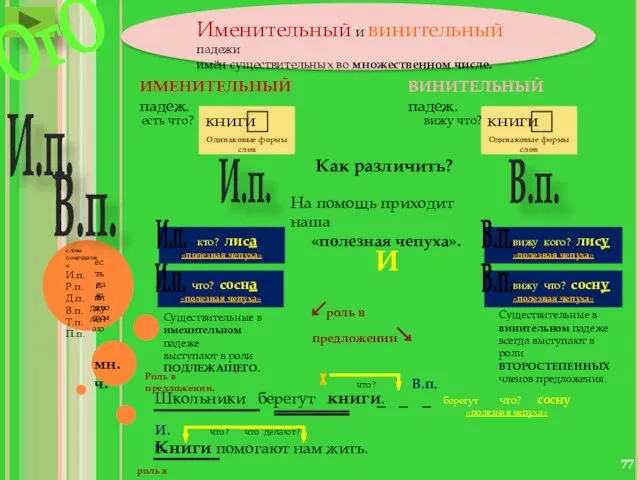 Одинаковые формы слов Одинаковые формы слов Именительный и винительный падежи