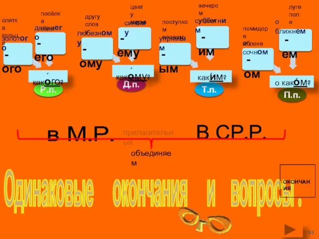 Одинаковые окончания и вопросы . Р.п. - ого в М.Р.