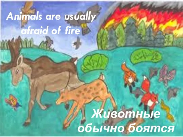 Animals are usually afraid of fire. Животные обычно боятся огня