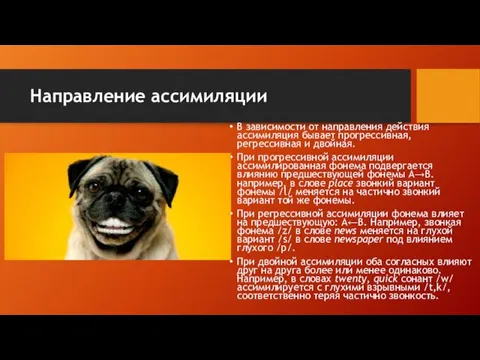 Направление ассимиляции В зависимости от направления действия ассимиляция бывает прогрессивная,